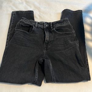 Everlane ankle Curvy Cheeky Jean